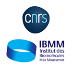 CNRS-IBMM