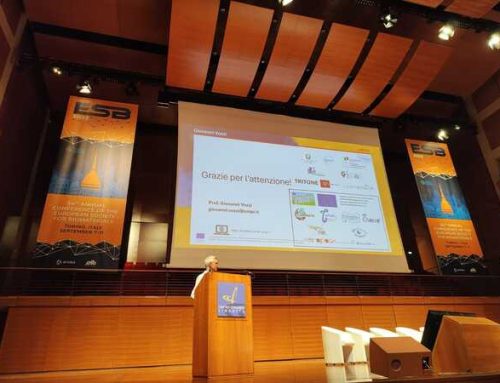 DAEDALUS presented at ESB–TERMIS joint session