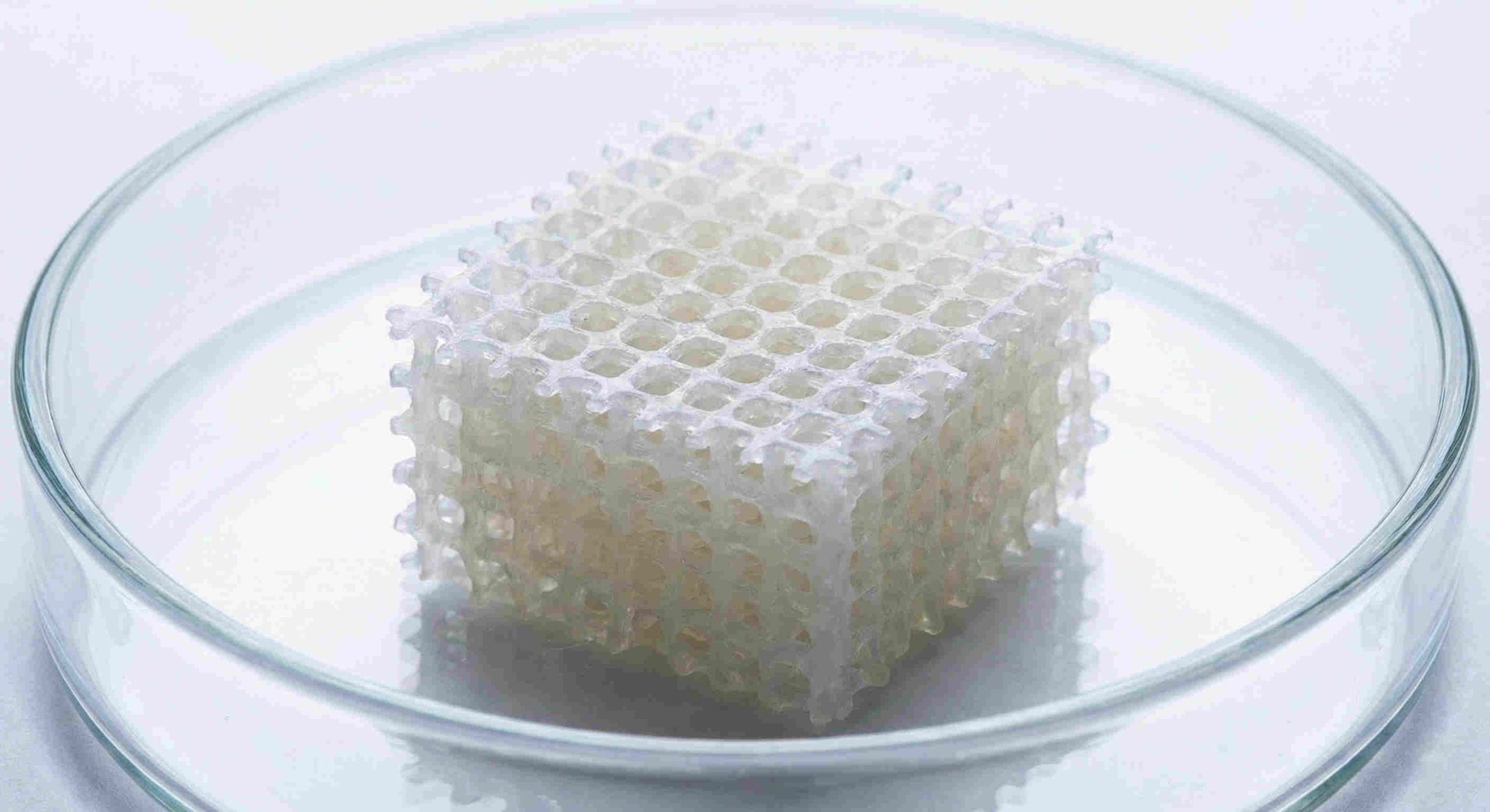 4D_bioprinted_scaffold